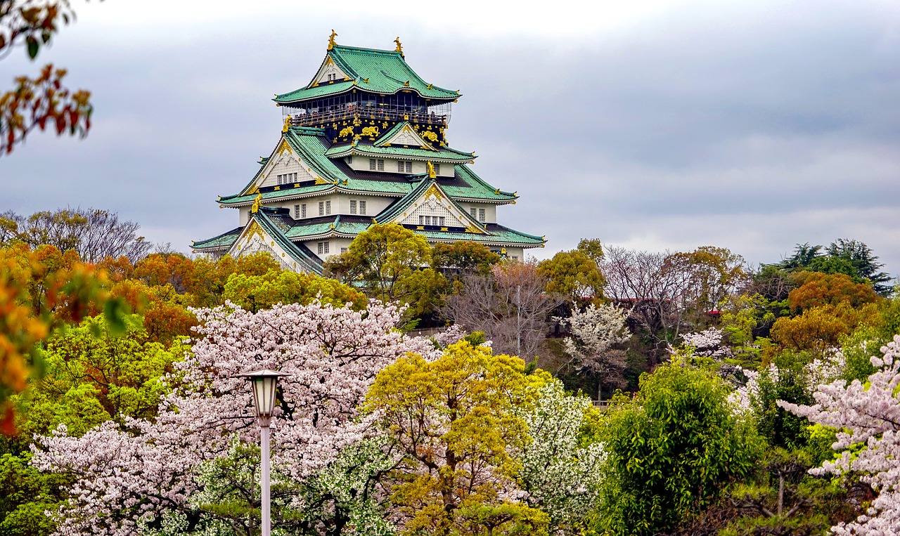张家界追寻梦想的起点：为何选择高考后去日本留学？